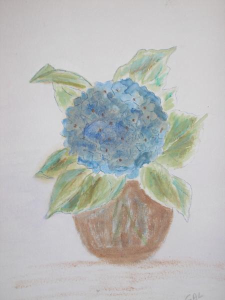 Tite fleur de bretagne